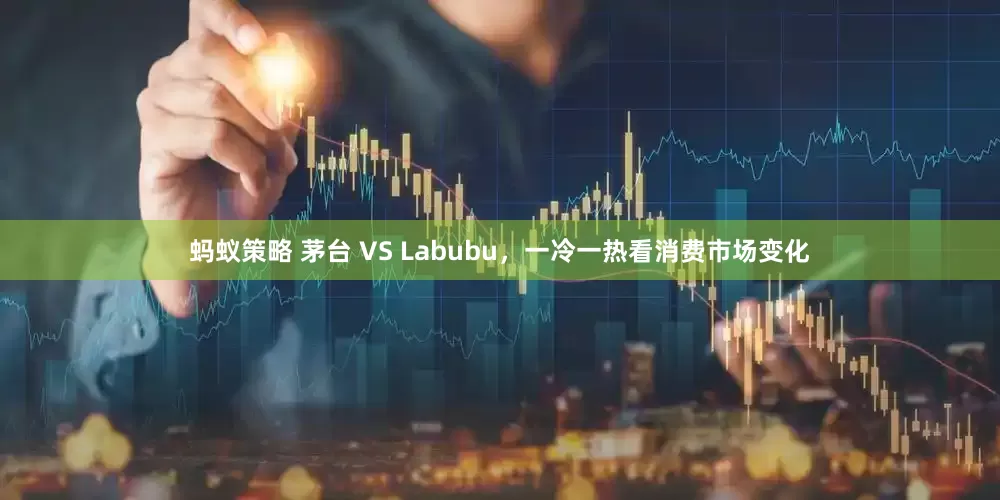 蚂蚁策略 茅台 VS Labubu，一冷一热看消费市场变化