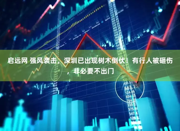 启远网 强风袭击，深圳已出现树木倒伏！有行人被砸伤，非必要不出门