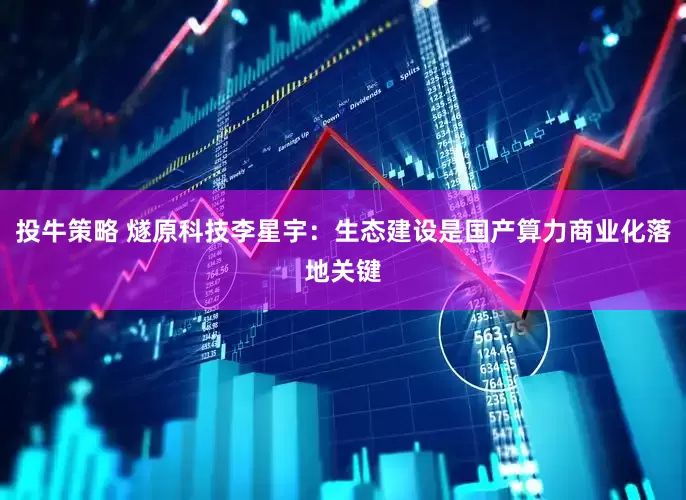 投牛策略 燧原科技李星宇：生态建设是国产算力商业化落地关键